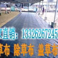 山东泰山土工材料生产厂 专业供应土工材料与PP塑料产品